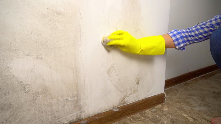 Mold Remediation for Rental Properties in Russell, GA